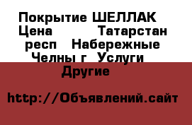 Покрытие ШЕЛЛАК › Цена ­ 250 - Татарстан респ., Набережные Челны г. Услуги » Другие   